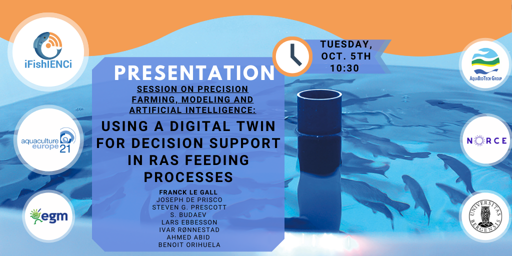 Using Digital Twin for decision support in RAS feeding processes